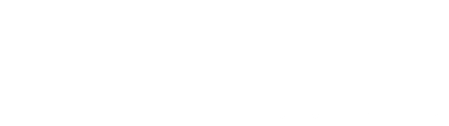 Netzlink Polska Logo_WHITE